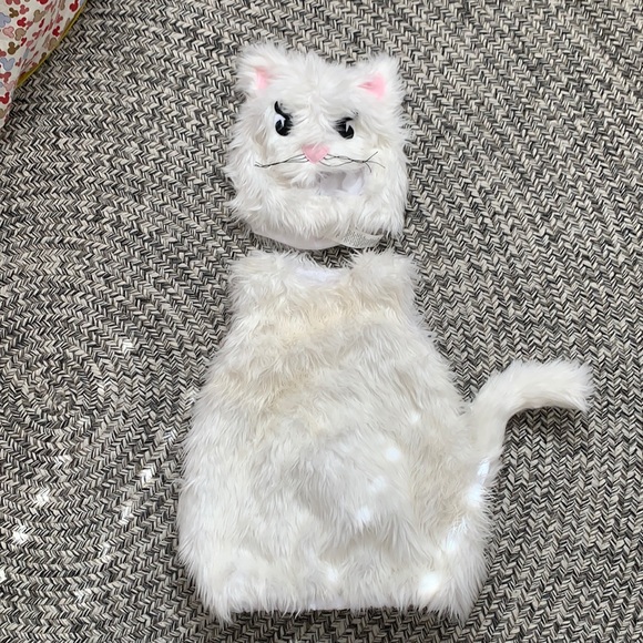 Pottery Barn Kids Costumes Pottery Barn Kids Kitty Costume Poshmark